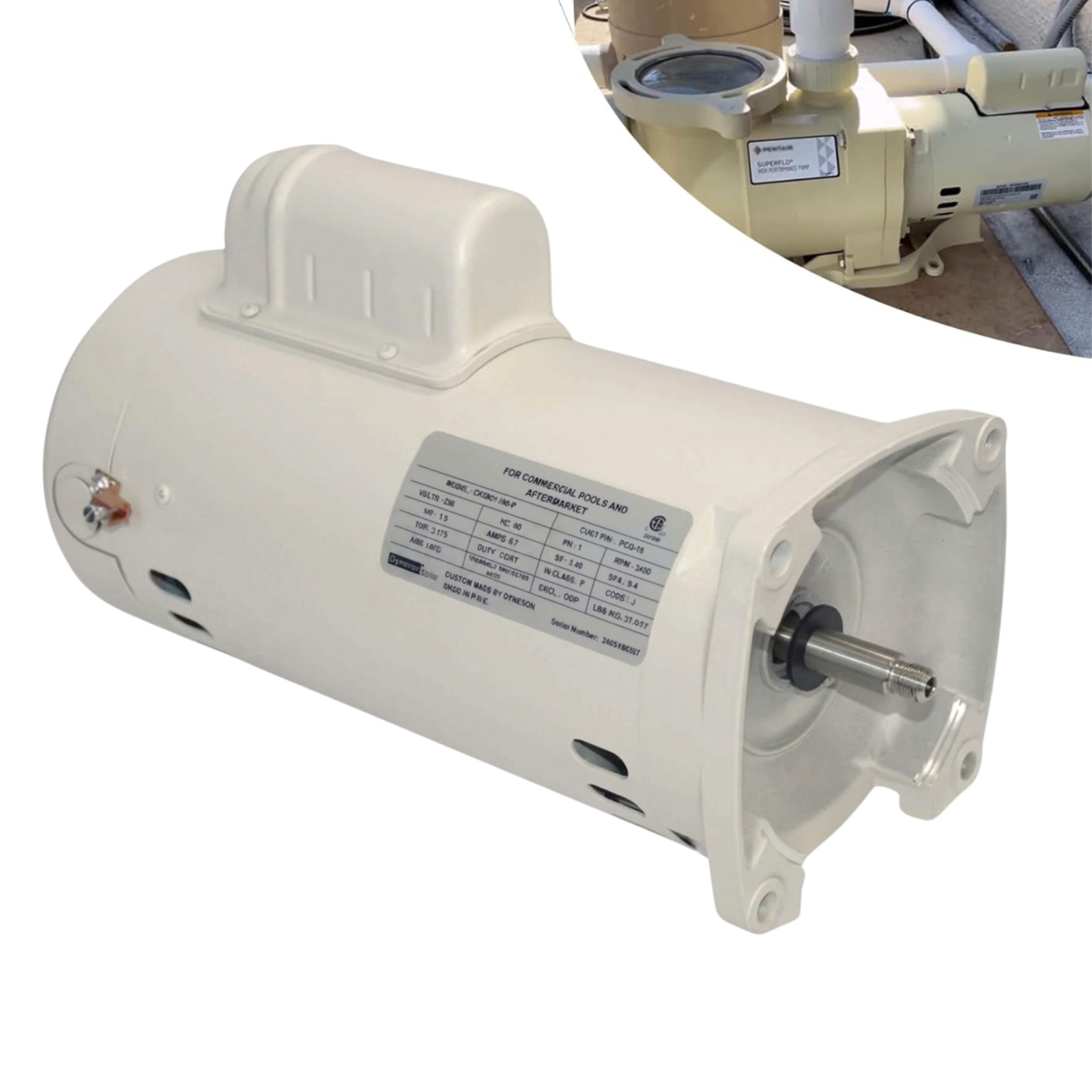 355014S Dyneson Pool Pump Motor 2 HP Compatible with Pentair Whisperflo Pumps gallery