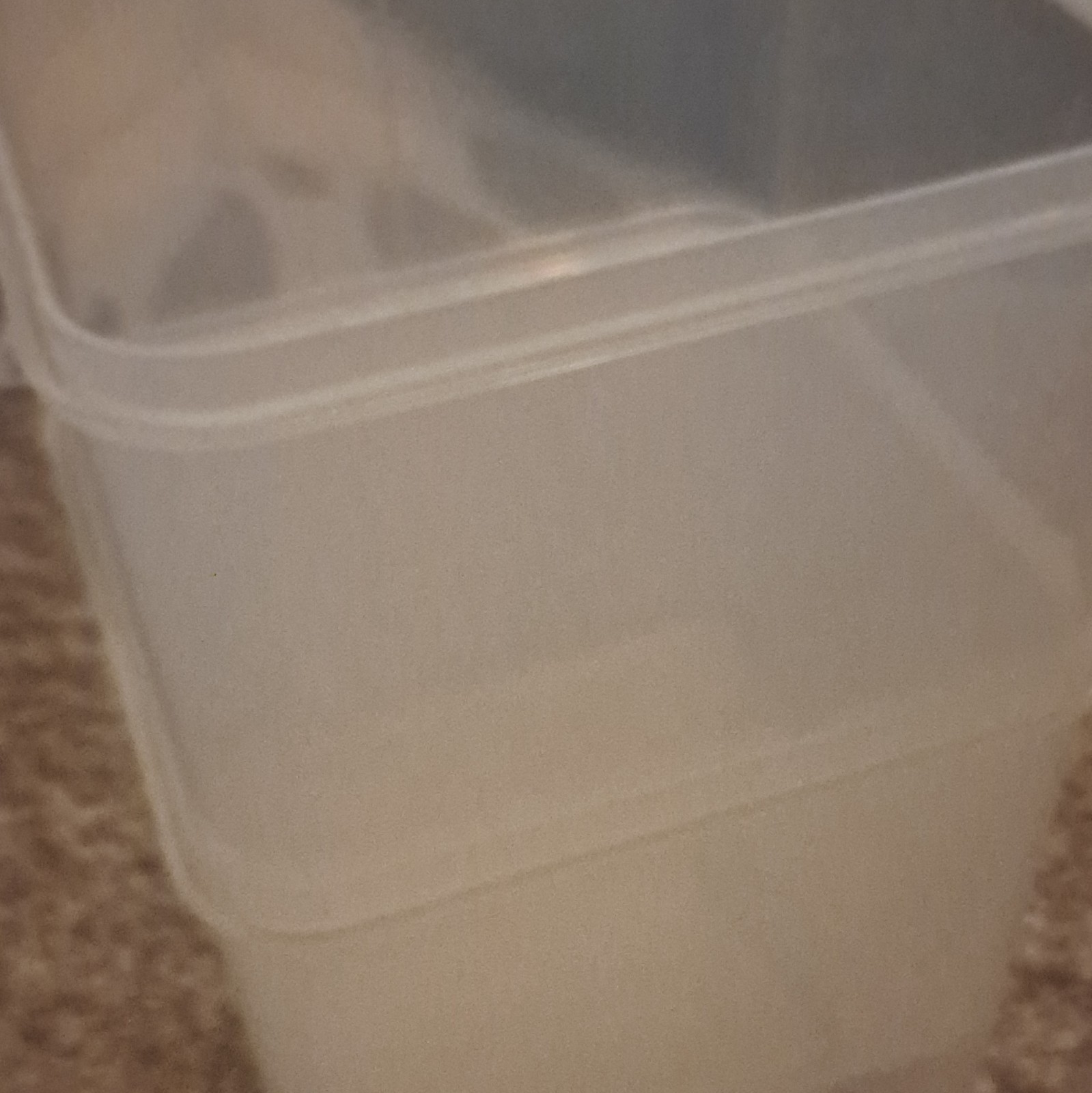 Clear Plastic Rectangular Storage Container Set, 2 Pack, Snap Lids, Stackable gallery
