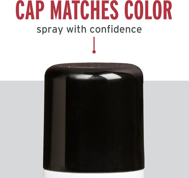 Rust-Oleum 334128 Stops Rust Turbo Spray Paint, 24 oz, Gloss (Select Color) gallery