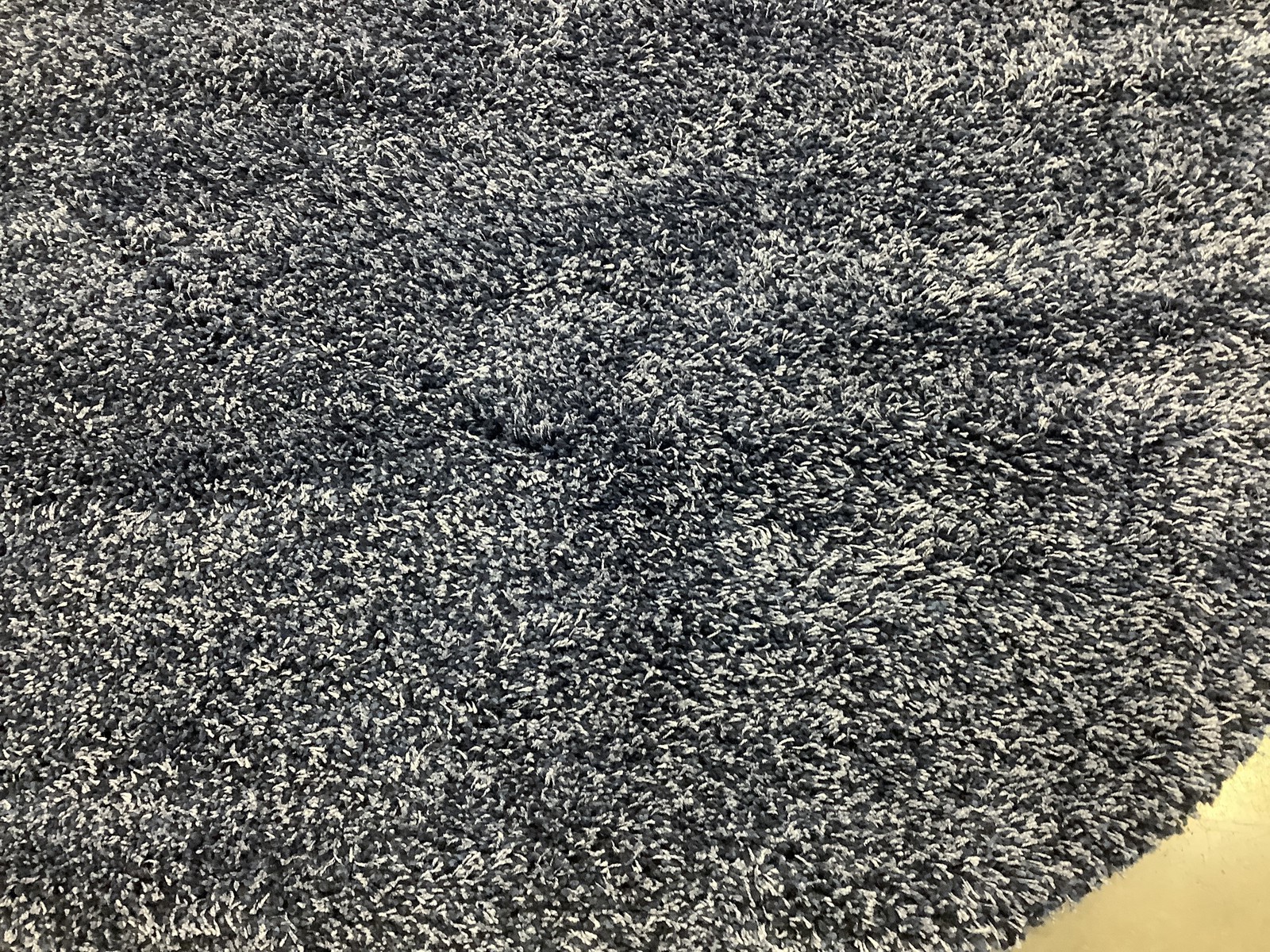 NAVY 6'-7" x 6'-7" Damaged Rug, Reduced Price 1172685081 SG151-7070-7R gallery