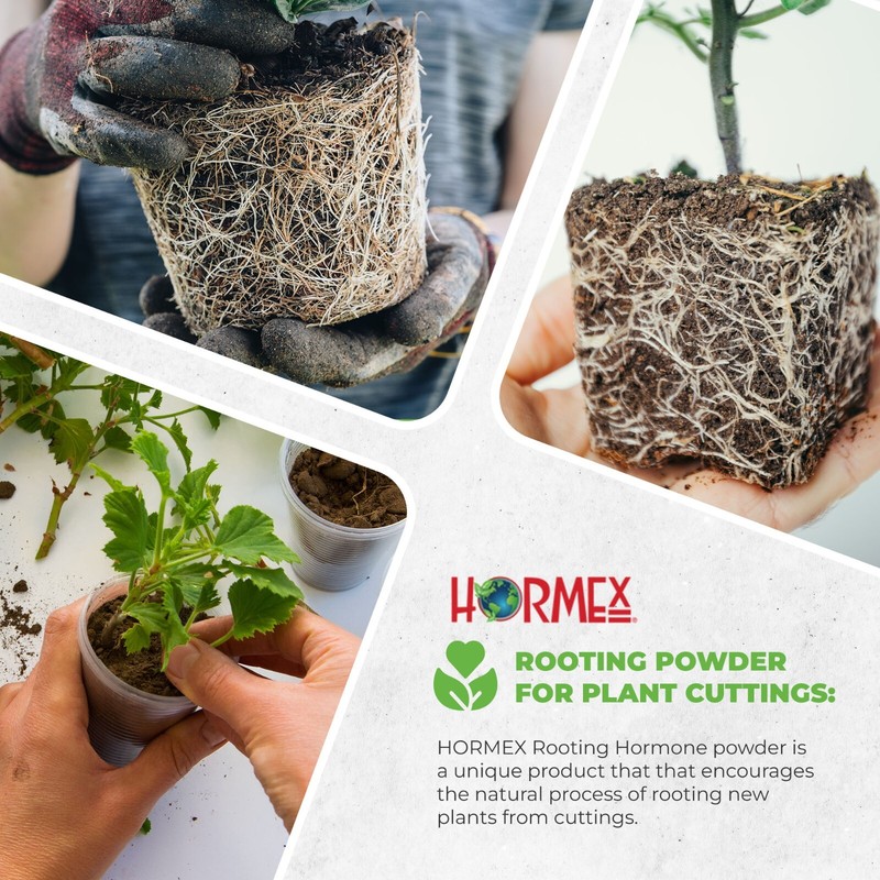 Hormex Rooting Powder #3, 8, 16 Pack - Easy to Difficult to Root Woody Plants gallery