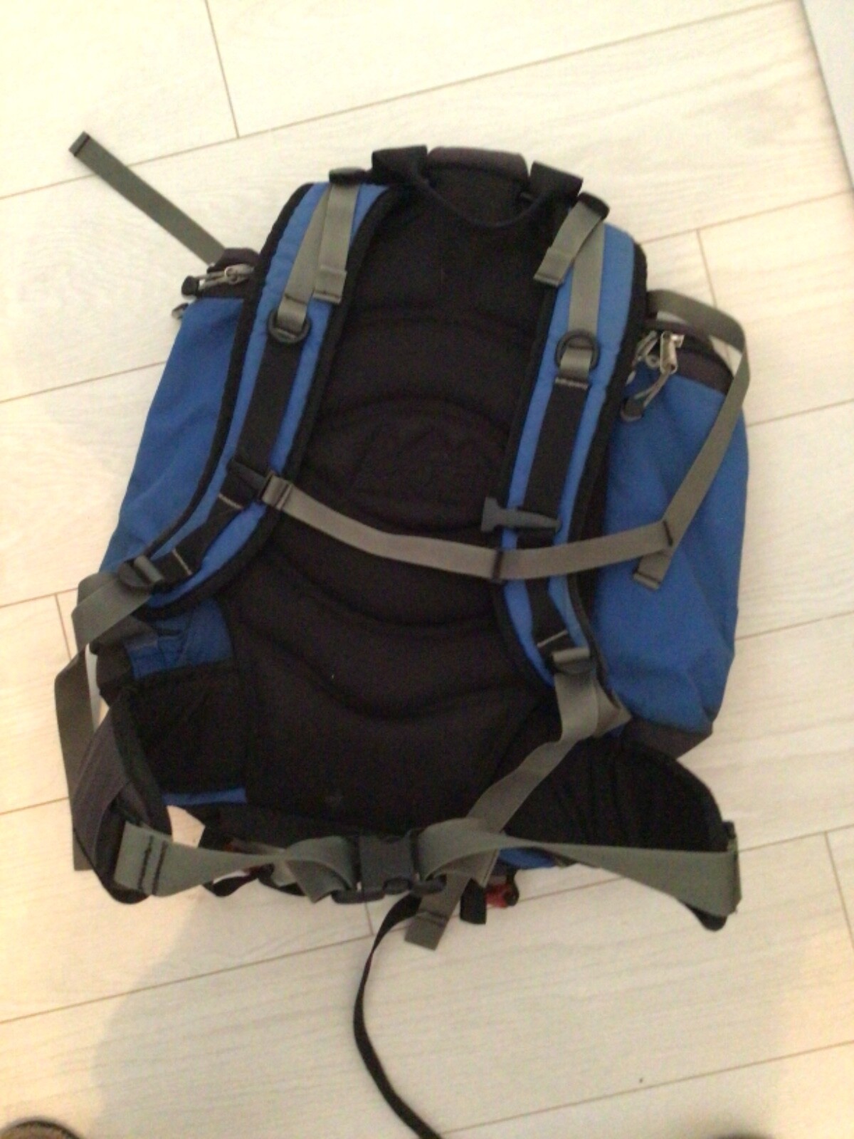 REI day pack, blue, Alpine 2