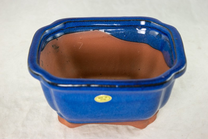 Rectangular Shohin Bonsai, Succulent Pot with Mesh - 6.25"x 5.25"x 3" Dark blue gallery