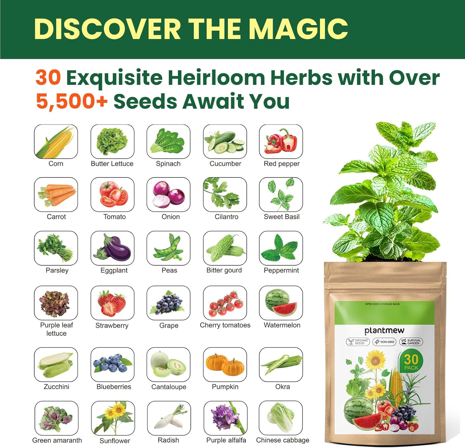 【Seed Vault】 Heirloom Vegetable Seeds Planting Kit - 15,000+ Non-Gmo Seeds for H gallery