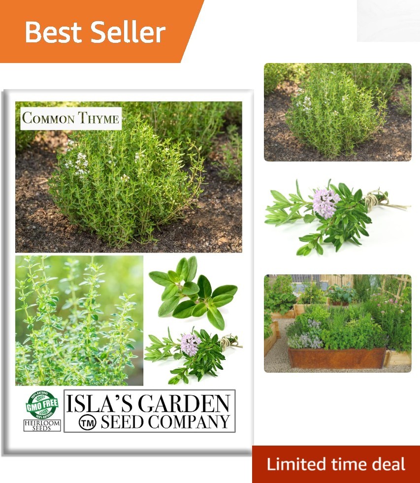 Fragrant Common Thyme Seeds - 1000+ Non-GMO for Easy Culinary and Medicinal Use gallery