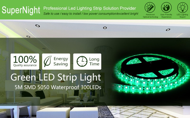 Green LED Strip Light Waterproof Decoration Ribbon Light for Garden Patio Bar 5M gallery