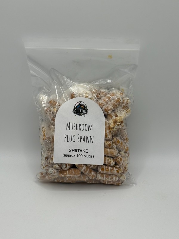 Shiitake Mushroom Plug Spawn Kit - 100x gallery