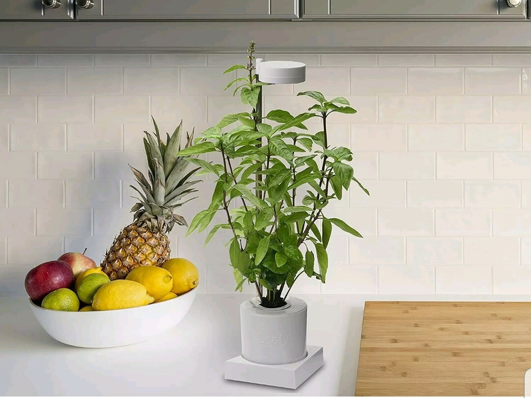 Leafy Indoor LED Desktop Aerogarden Hydroponics & Grow Light System gallery