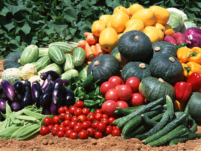 Vegetable Seed Lot $1.99 each 121 Heirloom Varieties For GARDEN/STORAGE non gmo gallery
