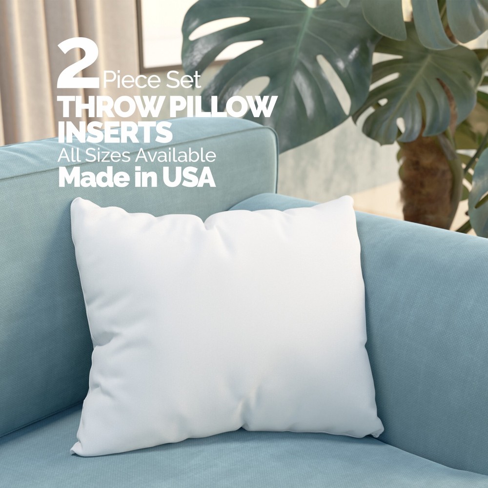 Euro Pillow Stuffing Throw Pillow Insert Square Pillows Form Inserts Pair of 2