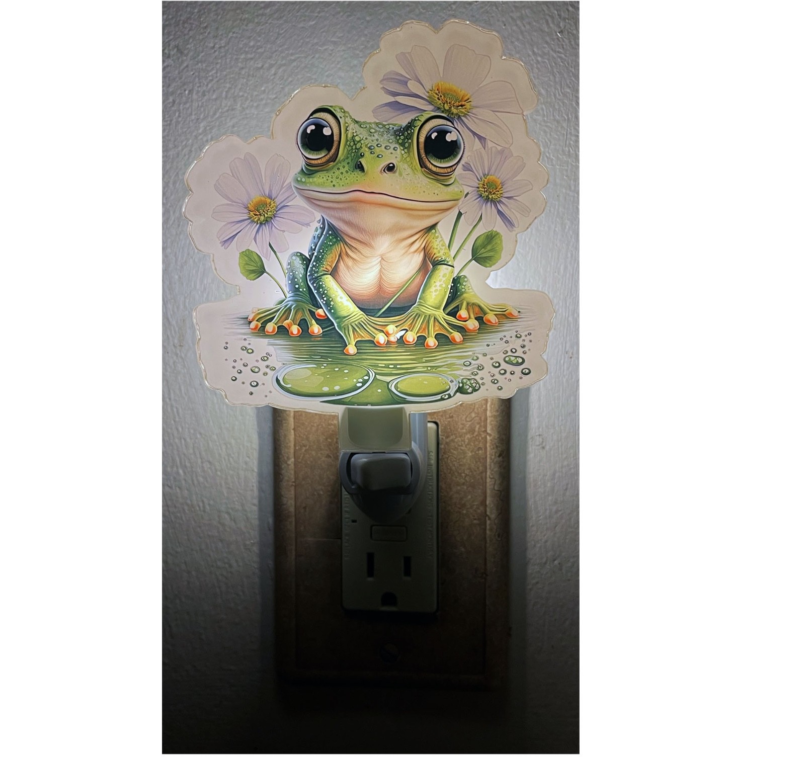 Nightlight With On/Off Switch-Any Room. Colorful Frog With Black Frame gallery