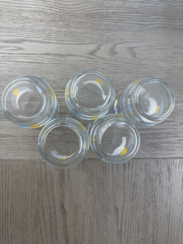 Vintage Libbey Country Goose Drinking Glasses Set of 5 Blue Ribbon Bow 6 Inch gallery