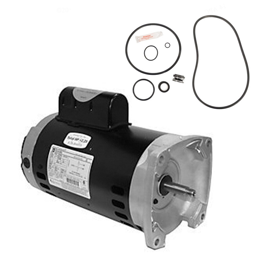 Puri Tech Repl Motor Kit Sta-Rite Max-E-Pro 2HP P6RA6G-207L USQ1202 w/GO-KIT-79