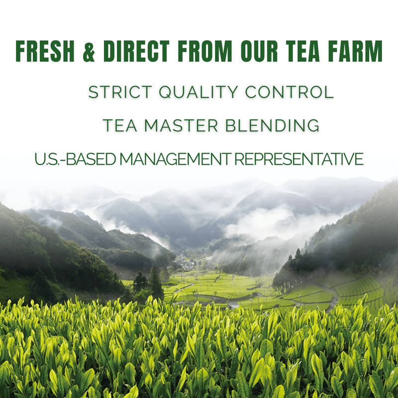 Ceremonial Matcha 50g SAMPLE- JAPAN - 100% First Flush Spring Harvested gallery