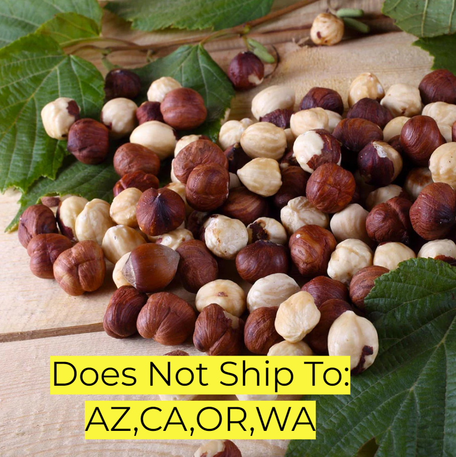 American Hazelnut Tree Live Plant Filbert Corylus Americana Easy Growing 3-4 Ft gallery