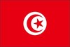 Tunisia Flag Vinyl Decal / Sticker ** 5 Sizes ** gallery