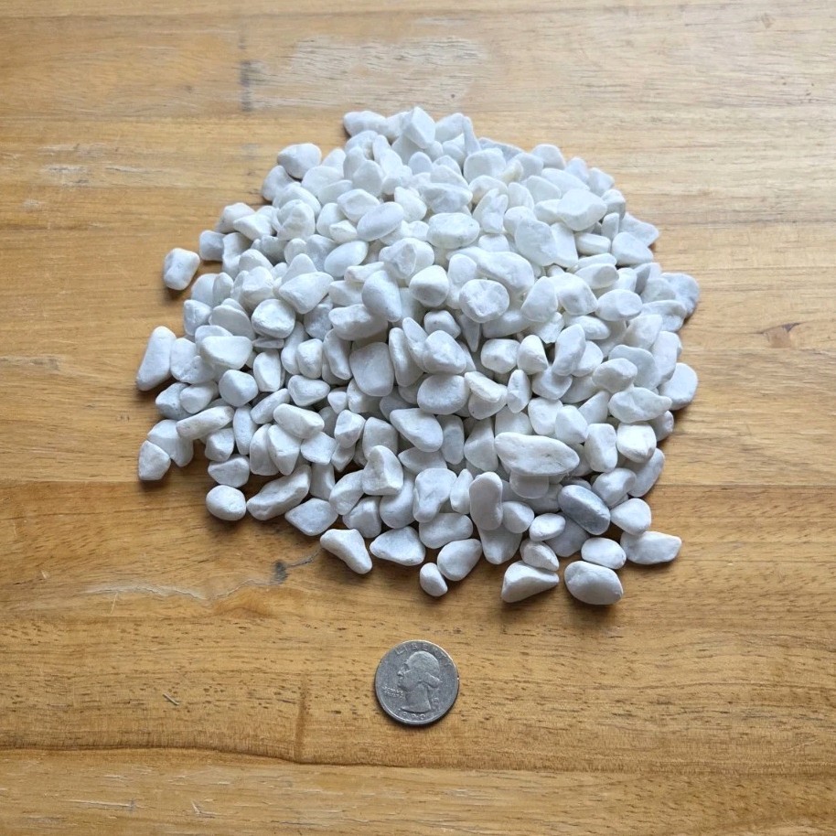 Smooth White Stone Pebbles Small Irregular Shape . Less Than 5 in gallery