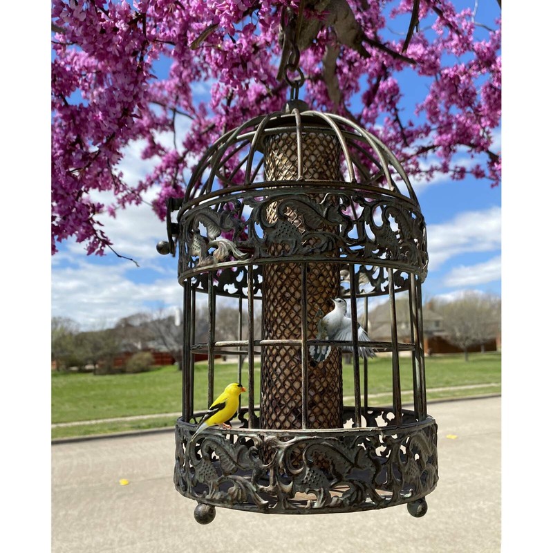 13 in. Tall Rustic Metal Squirrel Proof Caged Bird Feeder gallery