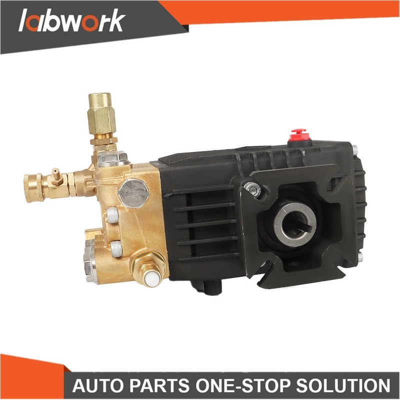 Labwork 3000 PSI Pressure Washer Pump CF 3030 G: 3.1 US gpm 3/4-in Shaft gallery