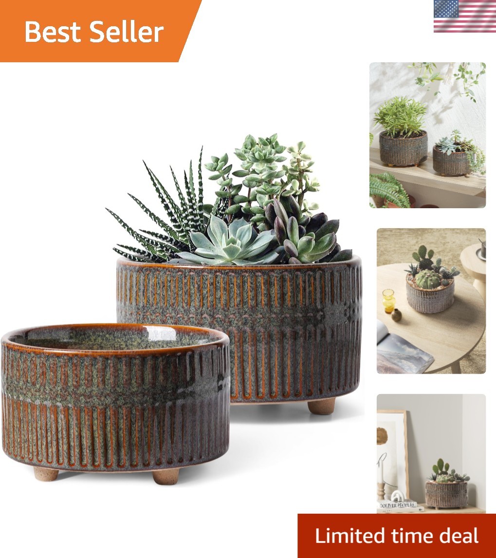 Modern Round Succulent Planters with Drainage Hole, Set of 2, 6.5 & 8 Inch gallery