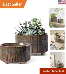Modern Round Succulent Planters with Drainage Hole, Set of 2, 6.5 & 8 Inch