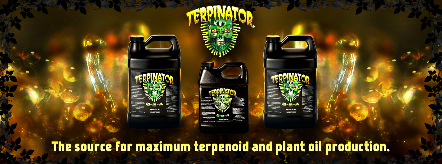 Rhizoflora Terpinator gallery