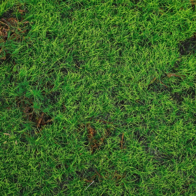 Highly Realistic Green Artificial Moss Mat for Home Decor and Outdoor Use gallery