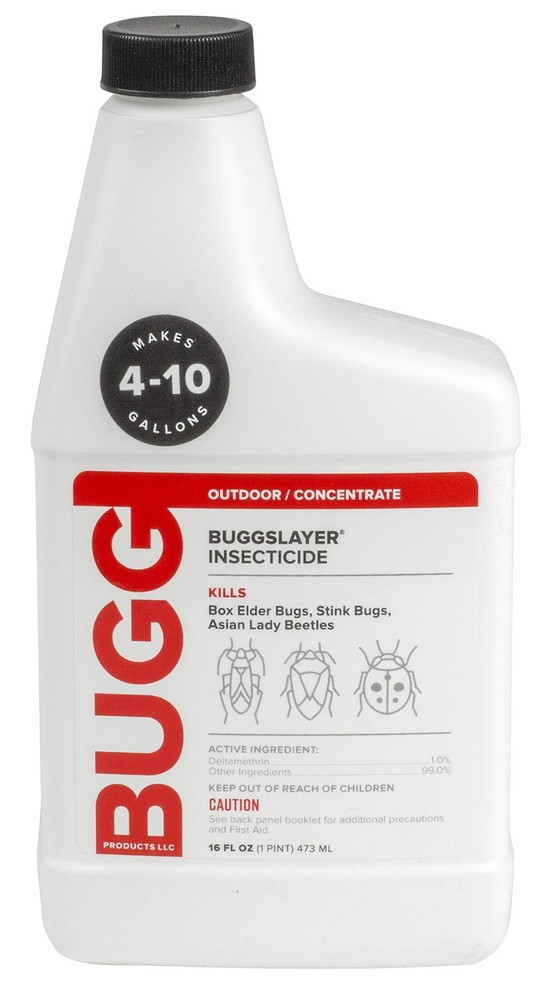 - Concentrate - Outdoor Box Elder Bugs, Stink Bugs, Asian Lady - 16 oz Bottle