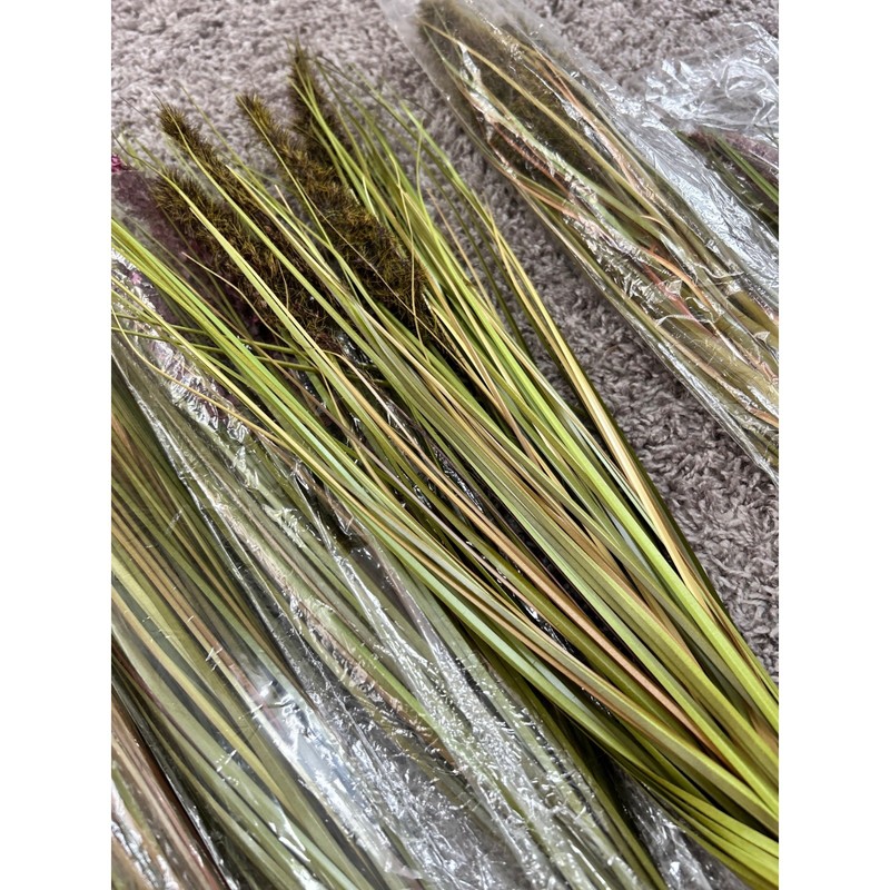 7pc Greenbrier International Artificial Decorative Grass Grain Stems 26 in Multi gallery
