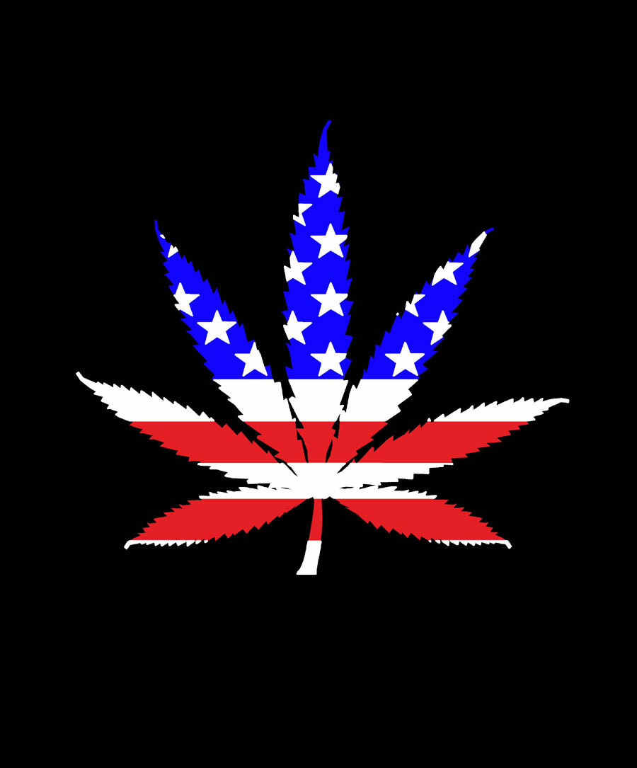 Premium Marijuana Blankets, Extra Warm, Heavy & Soft, 11 Styles, Kush Weed Pot gallery