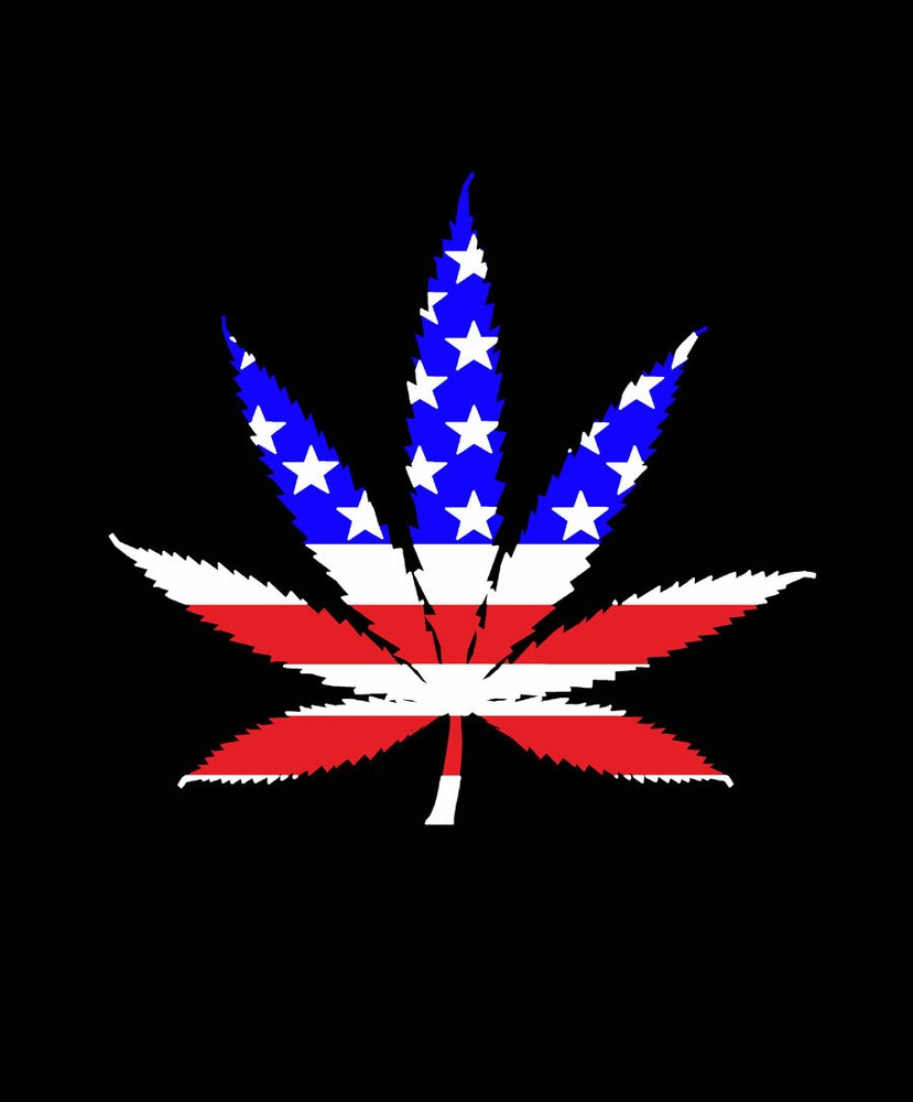 Premium Marijuana Blankets, Extra Warm, Heavy & Soft, 11 Styles, Kush Weed Pot