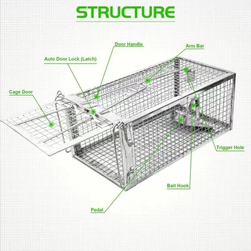 Humane Mouse Trap, Reusable Catch and Release Rodent Trap for Small Mice gallery