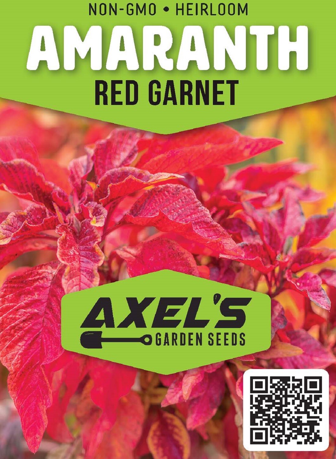 Red Garnet Amaranth Seeds | Heirloom & Non-GMO | Fresh Garden Seeds gallery