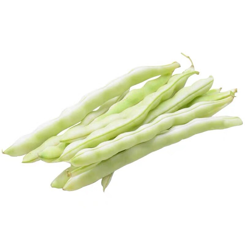 60Ct Super young bean seeds Stringless Pole Bean Heavy producer60粒高产新白不老、老来少架豆种子 gallery