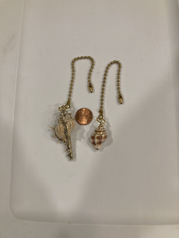 Beautiful Ceiling Fan Pull Chain Set - 2 Piece Sea Shell Gold Trim Gold Chain gallery