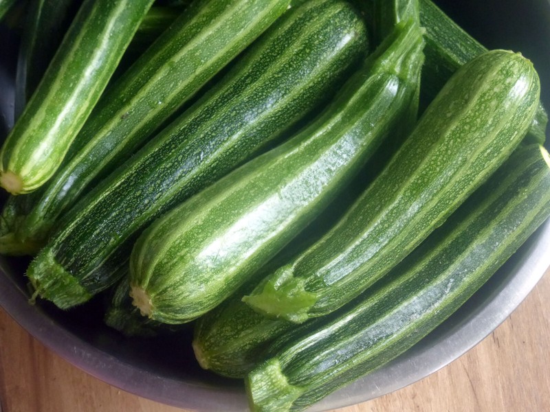 40 Heirloom Cocozelle Zucchini Seeds – Organic, High-Yielding Fast Growing!!! gallery