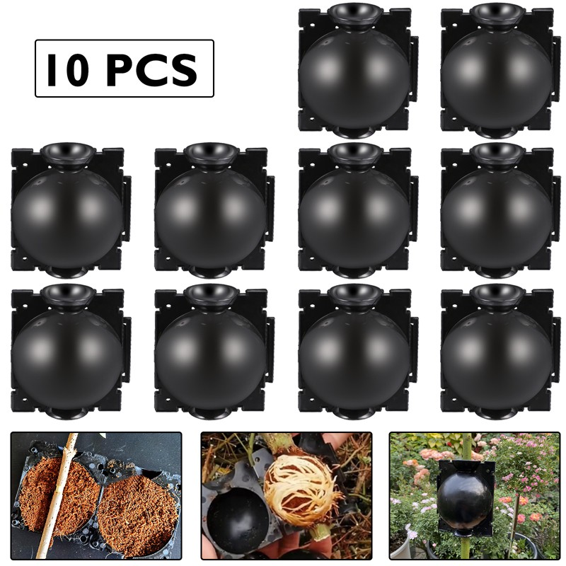 2~10Pcs Plant Rooting Device High Pressure Propagation Ball Graft Box Grow 5/8CM gallery