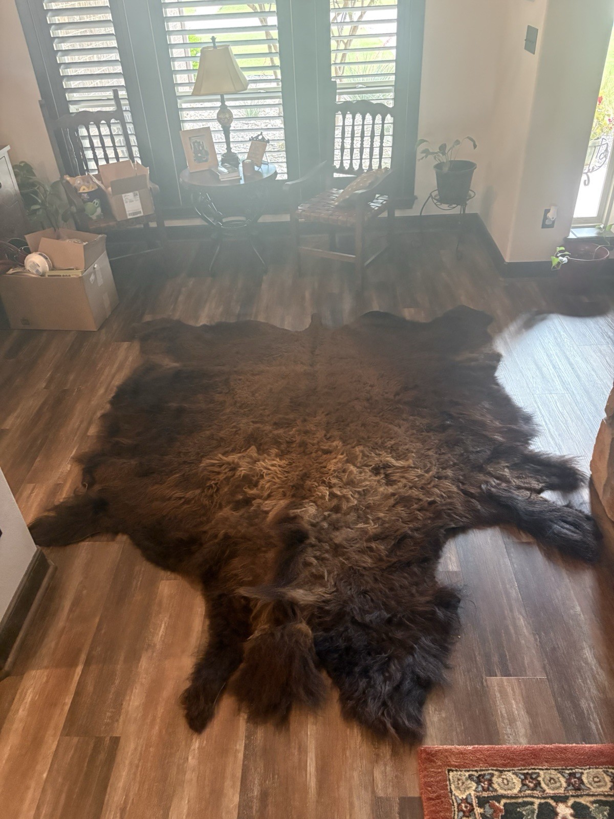 Genuine Buffalo Hide Rug with Tail Extra Large, 8.4 Ft gallery