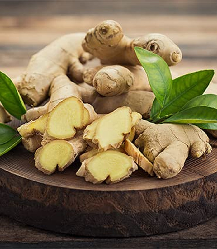 Herbal Tea Bundle: Peppermint, Lemongrass, Ginger, Chamomile & Hibiscus 250 Bags gallery