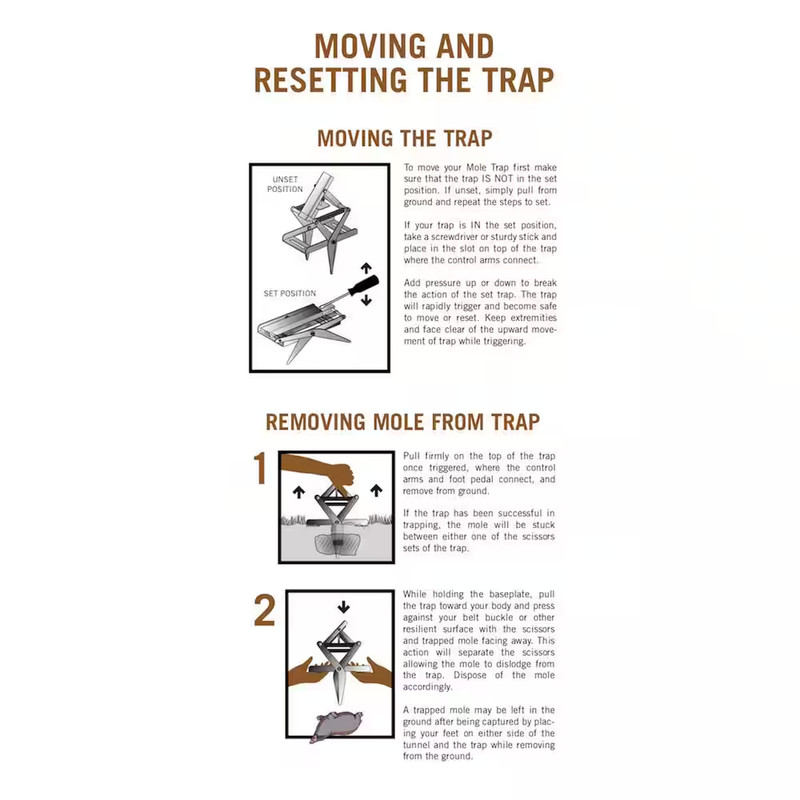 Mole Trap gallery