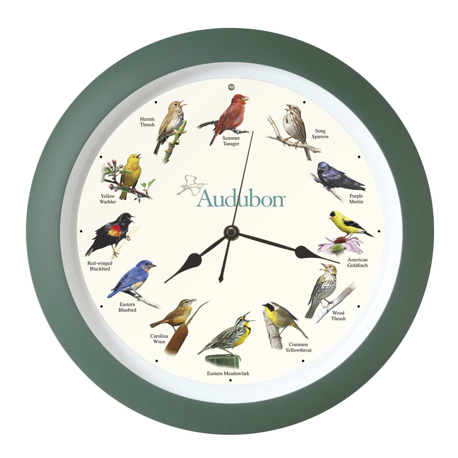 Audubon Society Singing Bird Wall Sound Clock, 13 Inch, Green gallery