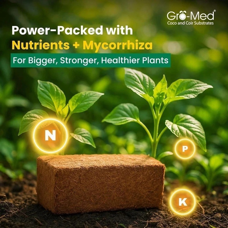 Gro-Med Organic Coco Coir Bricks for Plants - 2 Pack Compressed Coconut Coir Soi gallery