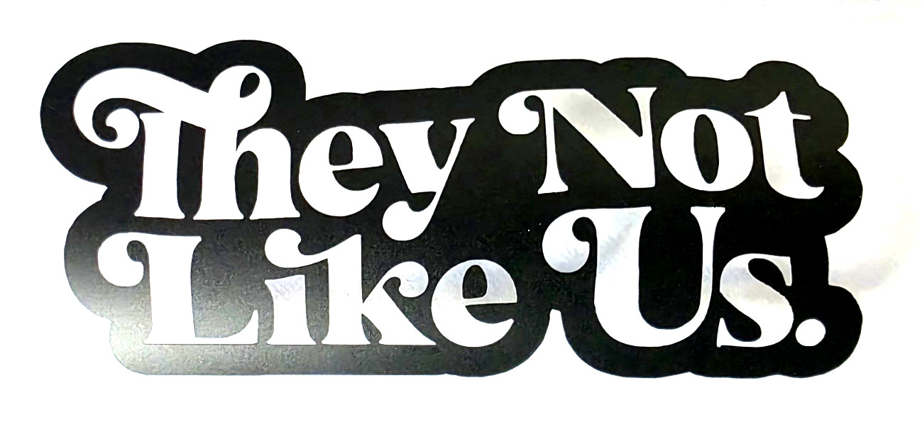 They Not Like Us Vinyl Decal Sticker Waterproof 3x6 Inches White or Black 23/24 gallery