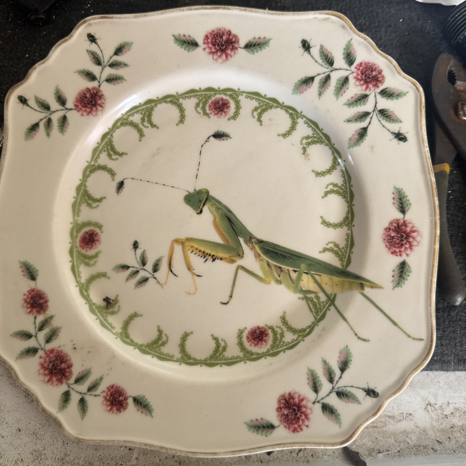 Lou Rota Nature Table Anthropologie Praying Mantis Flowers Plate 9" Collectible gallery