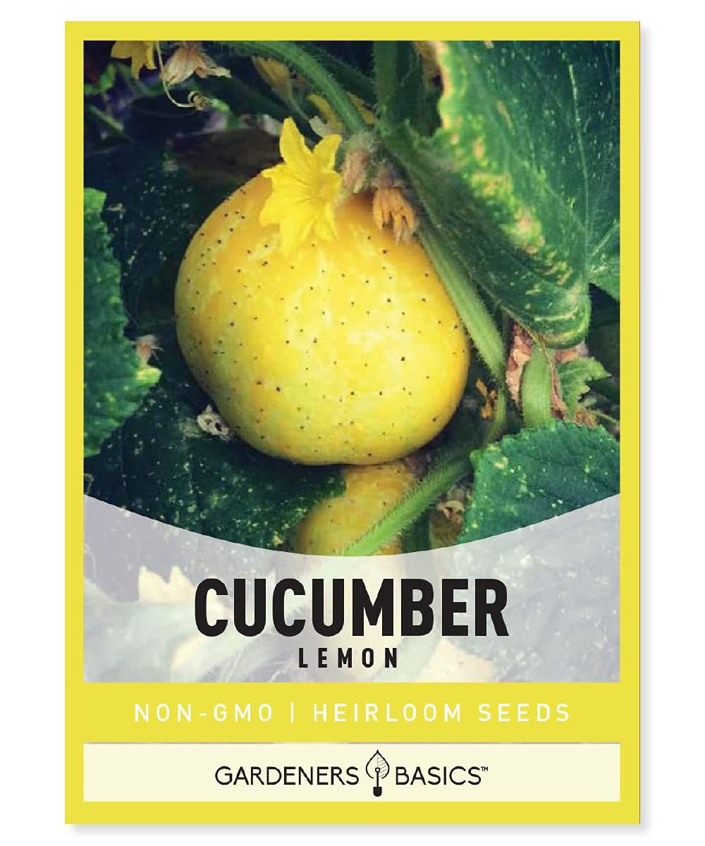 Lemon Cucumber Seeds for Planting (Cucumis sativus) Heirloom, Non-GMO Vegetab... gallery