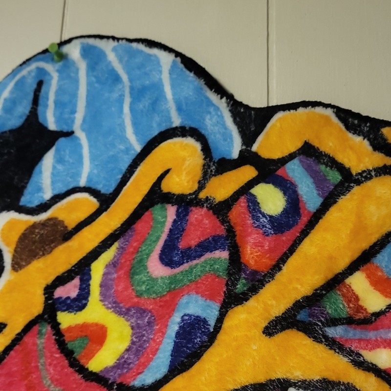 Cartoon Theme Multicolor Novelty Shape Polyester Modern Area Rug gallery