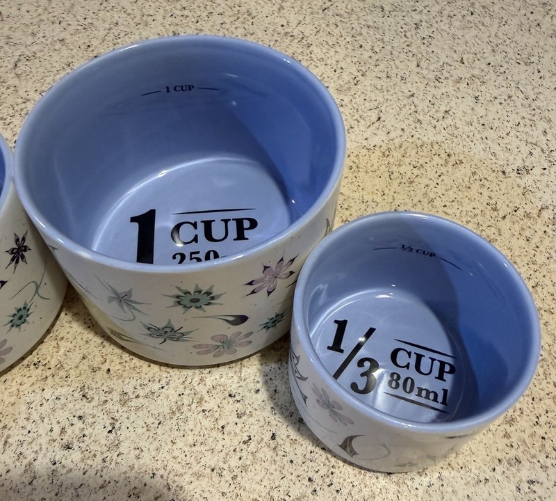 Native Northwest Hummingbirds Measuring Cups Set Nicole La Rock Coast Salish Art gallery