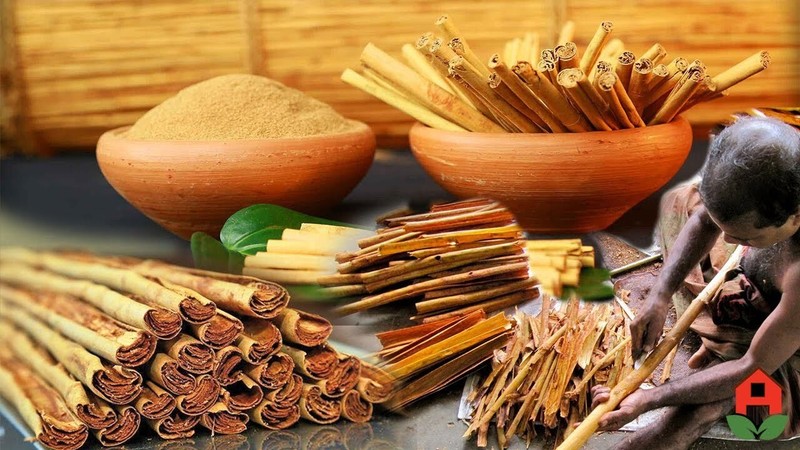 100g Organic Ceylon Cinnamon sticks (C5) gallery