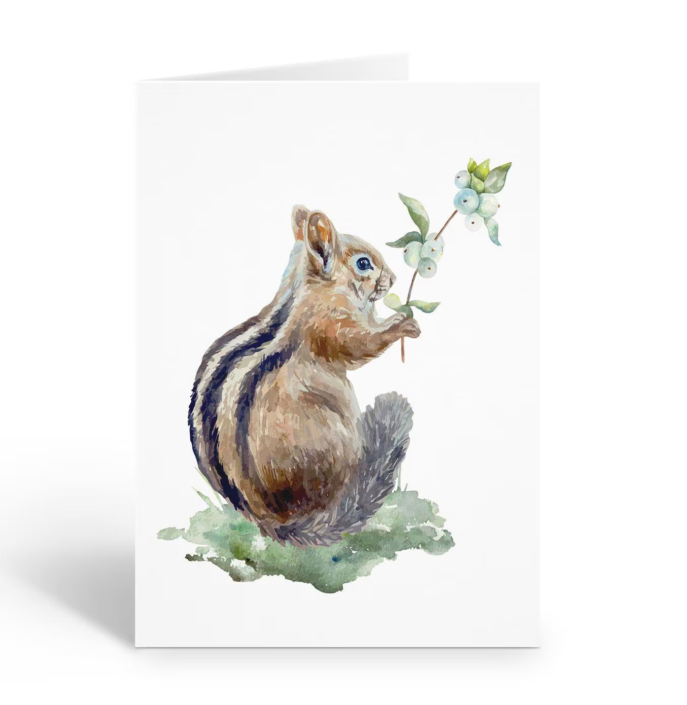 Cute Little Chipmunk Note Cards - 10 Boxed Note Cards - Wildlife - B14741 gallery