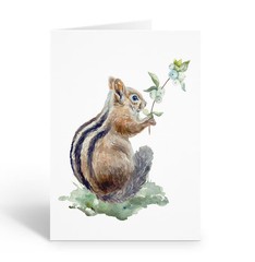 Cute Little Chipmunk Note Cards – 10 Boxed Note Cards – Wildlife – B14741